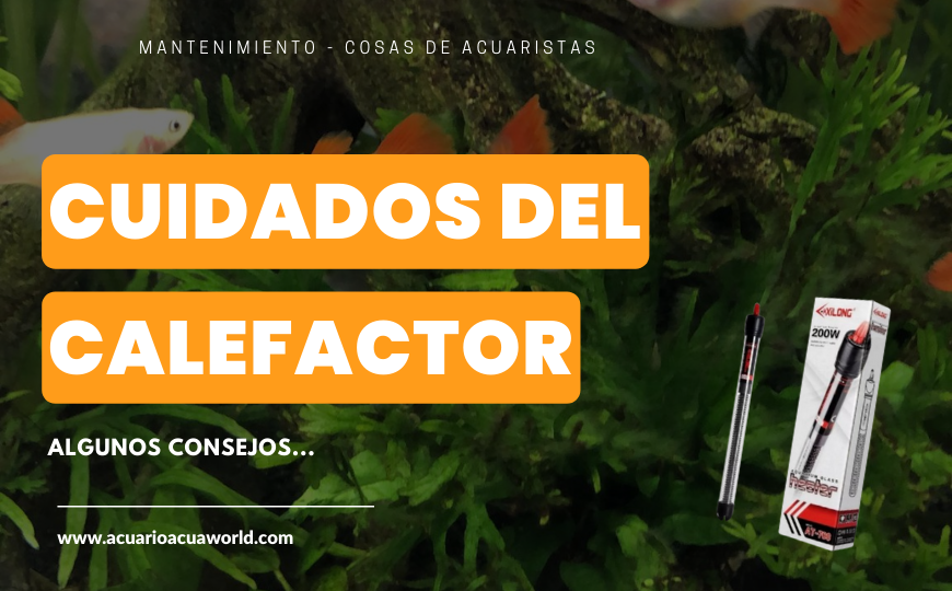 CUIDADOS del CALEFACTOR